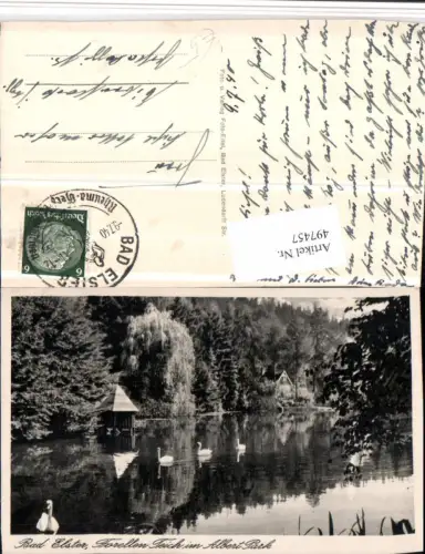497457,Bad Elster Forellen-Teich im Albert Park Schwäne