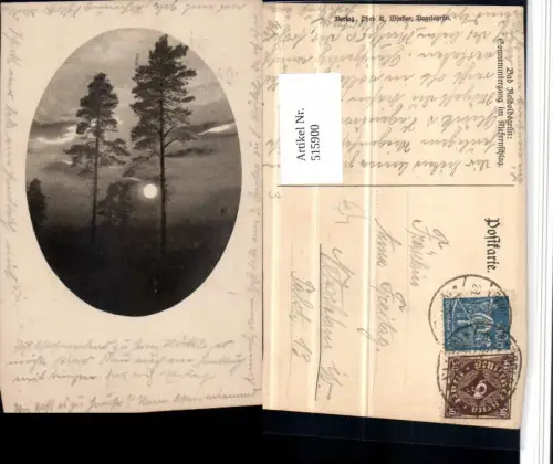 515900,Bad Reiboldsgrün b. Auerbach Sonnenuntergang im Kiefernschlag