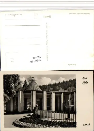 517401,Bad Elster Salzquelle Quelle