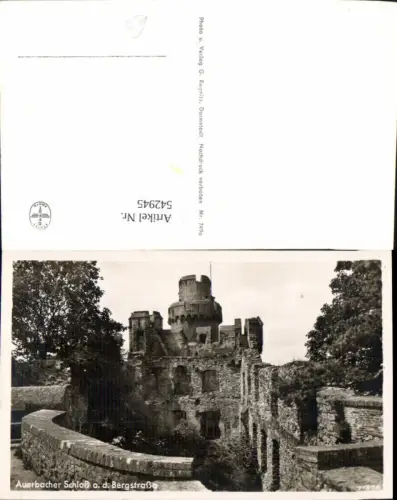 542945,Auerbach Schloß a. d. Bergstraße Auerbacher Burg Vogtland