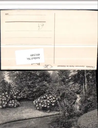 491549,Chemnitz Alpenrosen Partie im Küchwald