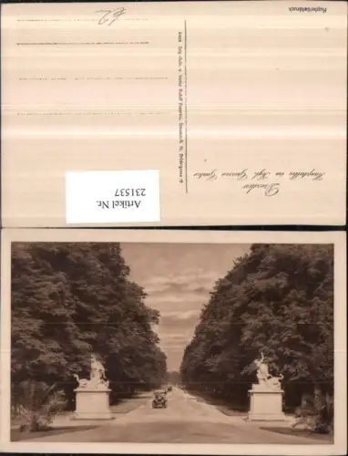 231537,Dresden Hauptallee Allee im Königlichen Großen Garten