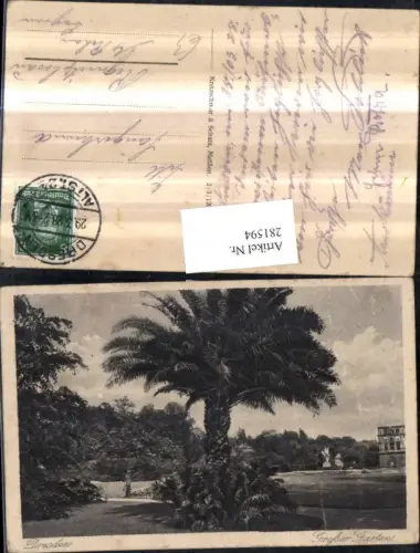 281594,Dresden Großer Garten Palme