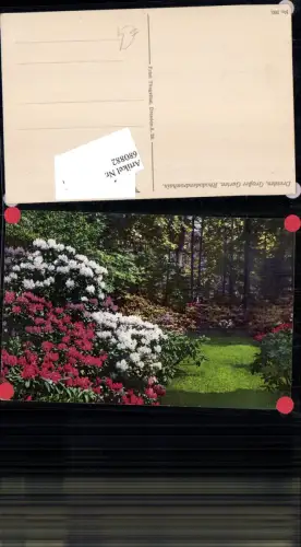 680882 Altstadt-Dresden Palais Garten