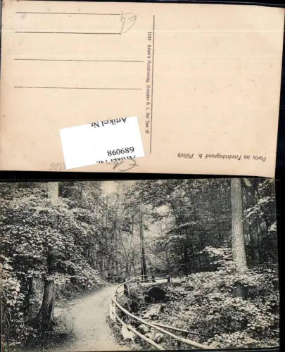 689098 Partie im Friedrichgrund b. Pillnitz Dresden