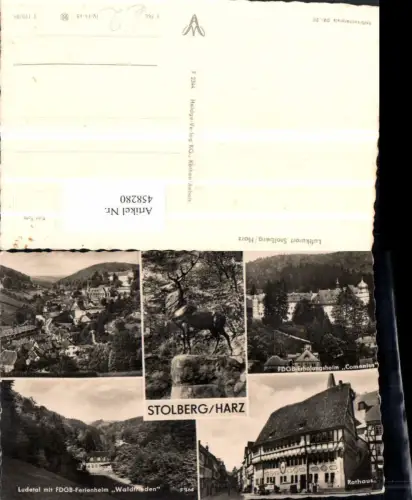 458280,Stolberg am Harz Totale Rathaus Hirsch Statue Mehrbildkarte