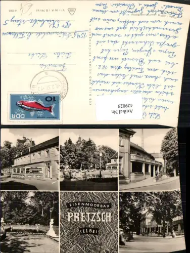 429029,Bad Pretzsch an d. Elbe Moorbad Mehrbildkarte pub VEB