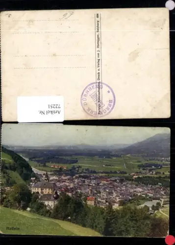 72251,Hallein Orstansicht Photochromie