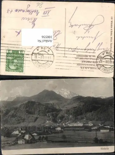 100556,Hallein Tolle Ortsansicht 1908