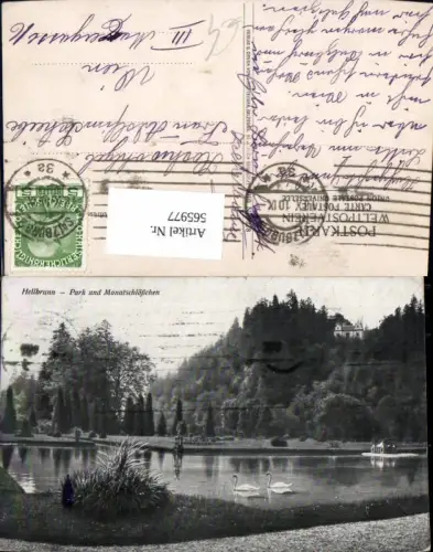 565977,Salzburg Schloss Hellbrunn Park u. Monatsschlösschen Schwäne Schwan