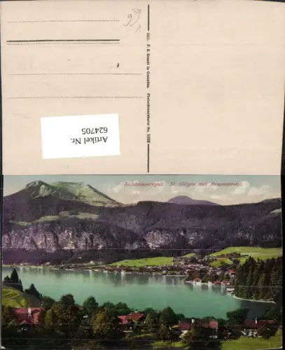 624705,Salzkammergut Sankt Gilgen m. Brunnwinkel pub F. E. Brandt 1033