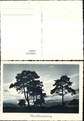 118385,Abendstimmung Bäume Landschaft pub Heinrich Hoffmann 2064