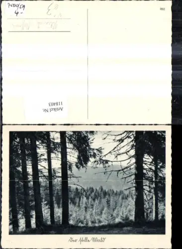 118403,Foto Ak Im stillen Wald Landschaft Bäume pub Heinrich Hoffmann 2086