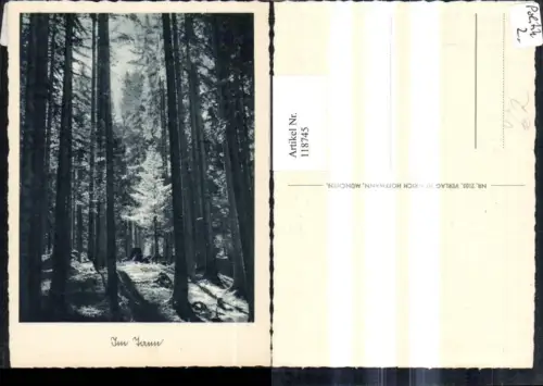 118745,Im Tann Wald Tannenwald pub Heinrich Hoffmann 2105