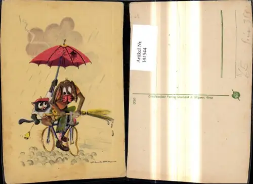 141544,Künstler Ak Klapa Hund Katze fahren i. Regen Fahrrad Scherz Humor