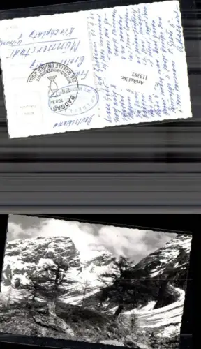 113382,Foto AK Radeckalpe m Ankogel