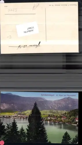 113667,Salzkammergut St. Gilgen v. Brunnwinkel