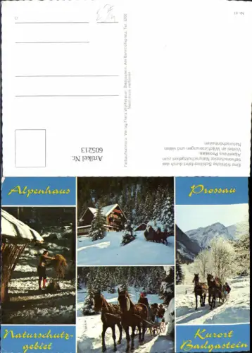 605213,Mehrbild Ak Bad Gastein Alpenhaus Prossau Winteransicht Kutsche