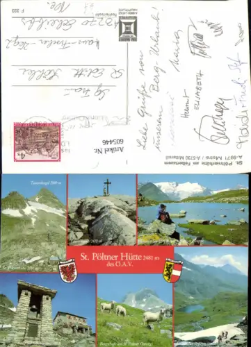 605446,Mehrbild Ak Mittersill St Pöltnerhütte a. Felbertauern Schafe