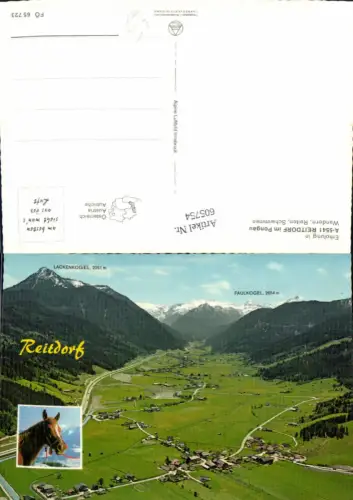 605754,Mehrbild Ak Luftbild Reitdorf i. Pongau Pferd Pferdekopf pub Alpine Luftbild FÖ 65723