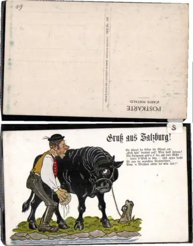 61179,Gruss aus Salzburg Stier wird gewaschen pub Huttegger 197
