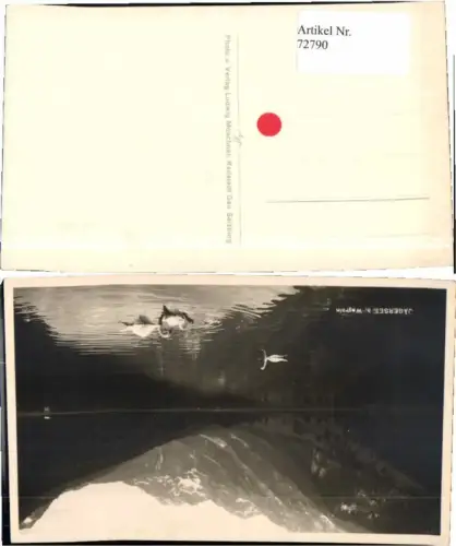 72790,Jägersee bei Wagrain m. Schwäne