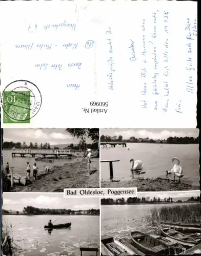 560969,Mehrbild Ak Bad Oldesloe Poggensee Strandleben Schwäne Boote