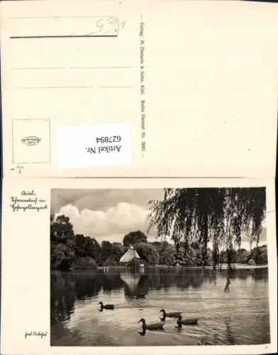627894,Foto Ak Kiel Hohenzollernpark Enten Teich