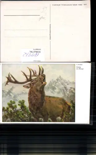 669972,Künstler Ak E. Dichtl König der Berge Röhrender Hirsch Wild Jagd Bergkulisse