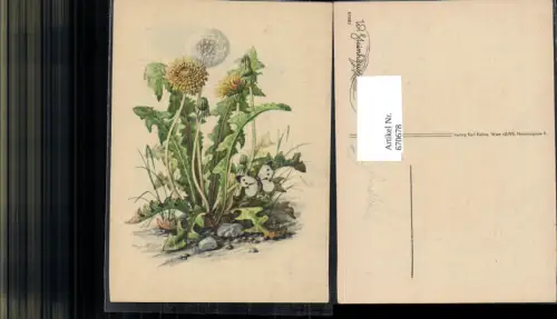 670678,Künstler Ak W. Steinhäusser Karte Löwenzahn Blume Schmetterling Insekt pub K. Kühne