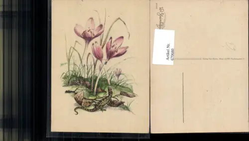 670680,Künstler Ak W. Steinhäusser Karte Krokus Salamander Tiere Blumen pub Karl Kühne