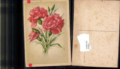 670681,Künstler Ak Rosa Rote Nelken Blumen