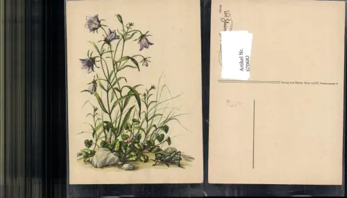 670682,Künstler Ak W. Steinhäusser Karte Glockenblume Grashüpfer Blume pub Kühne