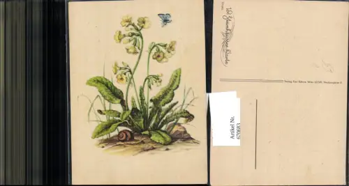 670683,Künstler Ak W. Steinhäusser Karte Primel Schnecke Schmetterling Blume pub Kühne