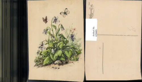 670685,Künstler Ak W. Steinhäusser Veilchen Schmetterling Käfer pub Kühne