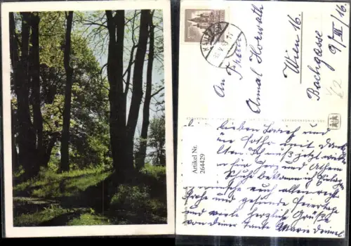 264429,SOS Kinderdorf Schloßpark b. Amras Innsbruck Wald Bäume