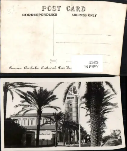 429921,Egypt Port Said Roman Catholic Cathedral Kirche Palmen