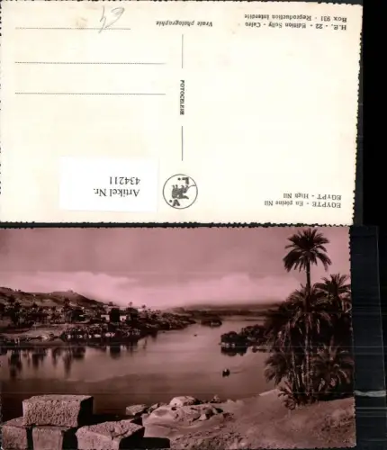 434211,Egypt High Nil Fluss Palmen