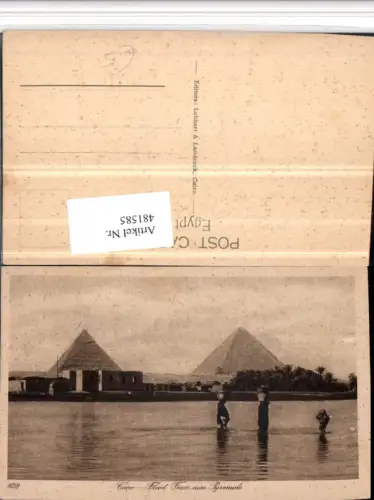 481585,Egypt Cairo Kairo Flood Time near Pyramids Pyramiden