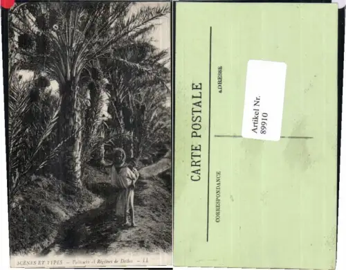 89910,Scenes et Types Algerien Palmiers Regimes Dattes