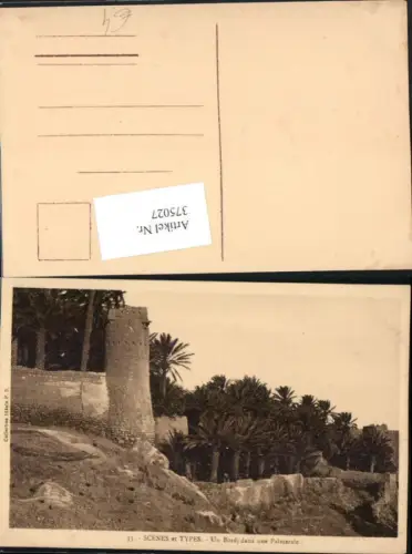 375027,Scenes et Types Un Bordj dans une Palmeraie Palmen