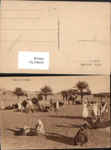390246,Algeria Alger Algier Repos de fin d'Etape Volkstypen Palmen