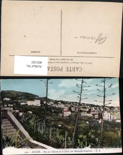 402185,Algeria Alger Algier Vue du Chemin de la Croix sur Mustapha-Superieur Teilansicht