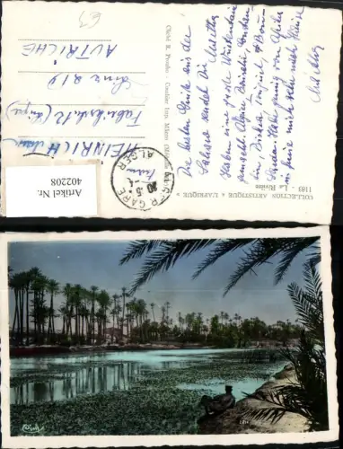 402208,Algeria Alger Algier La Riviere Oase Palmen