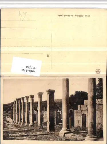 481588,Algeria Djemila Le Grand Cardo Säulen