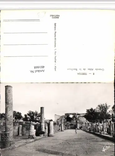 481668,Algeria Tebessa Grande Allee de la Basilique Säulen