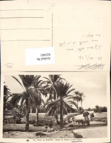 622401,Environs de Biskra Route de Biskra a Sidi Obka Palmen Esel Algeria