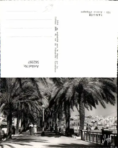 562397,Africa Maroc Tanger Avenue d`Espange