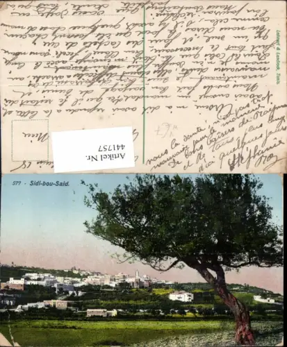 441757,Tunisia Sidi-bou-Said Totale Baum pub Lehnert e Landrock 577