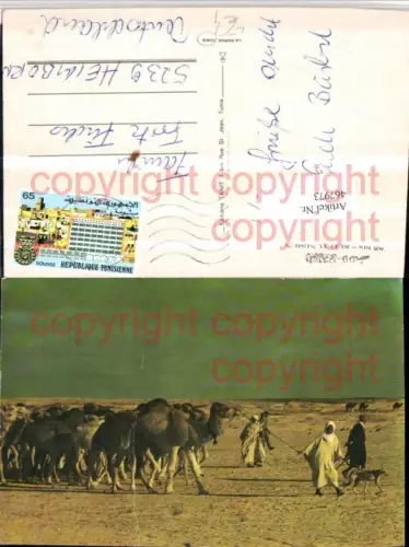 467973,Tunisia Sud Tunisien Tunis Nomaden Kamele Wüste